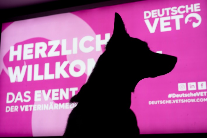 DeutscheVET 2024: Das Highlight-Event der Veterinärmedizin / MESSE DORTMUND | 07. – 08. Juni 2024